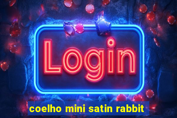 coelho mini satin rabbit